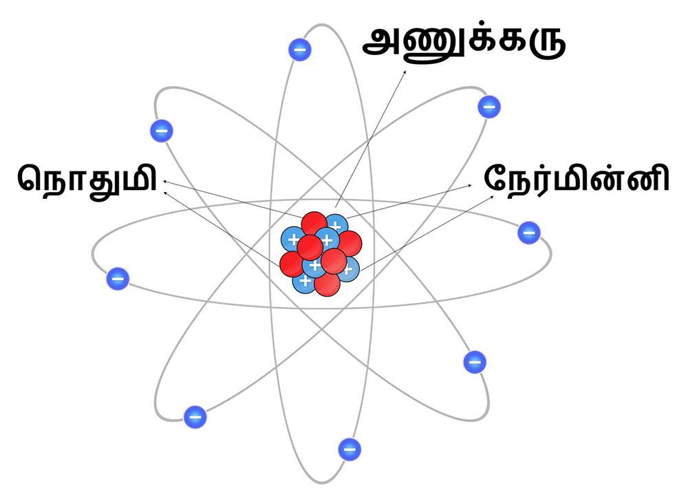 அணுக்கரு மற்றும் அணுக்கருனிகள்